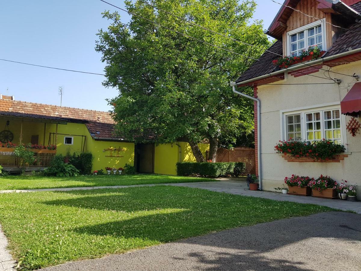 Pensiunea Bunea Haţeg Exterior foto